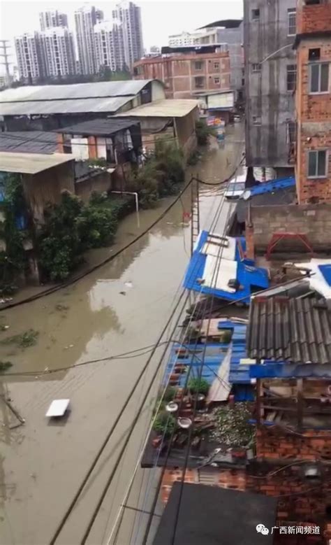 特大暴雨致农田被淹！泉湖镇紧急启动春季防汛防灾工作__衡南新闻网