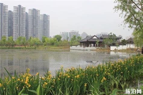 武汉沙湖公园_武汉市园林建筑规划设计院