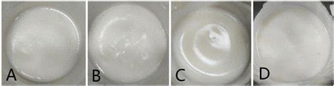 一种反向微乳液法制备纳米钴酸锌颗粒的方法与流程