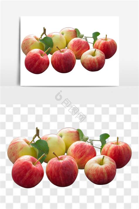 水果苹果介绍素材-水果苹果介绍图片素材下载-觅知网