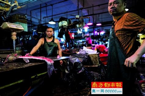 成都东门三联海鲜批发市场现已开业，现在购买海鲜即享优惠折扣季__凤凰网