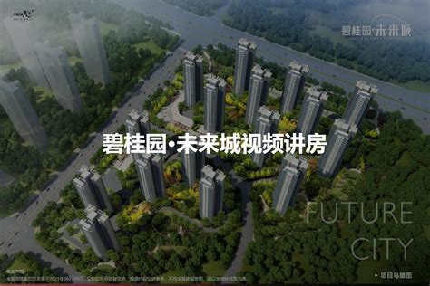 碧桂园未来城10月20日发售房源258套_房产资讯-温州房天下