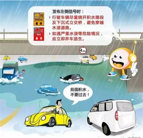 下大雨的时候，你知道开车要注意什么吗？ - 知乎