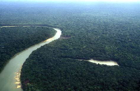 亚马逊河,委内瑞拉,河流,州,亚马孙,亚马逊雨林,生态多样性,南美,天空,褐色摄影素材,汇图网www.huitu.com