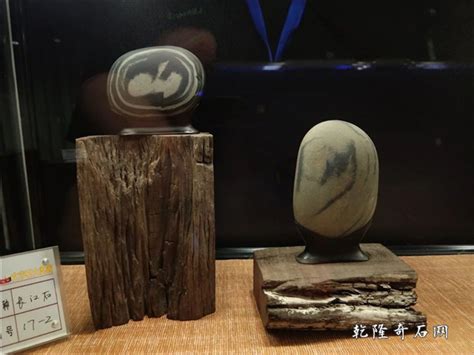 2019年，齐齐哈尔石博会，特等奖、金奖、精品整理_乾隆奇石博物馆