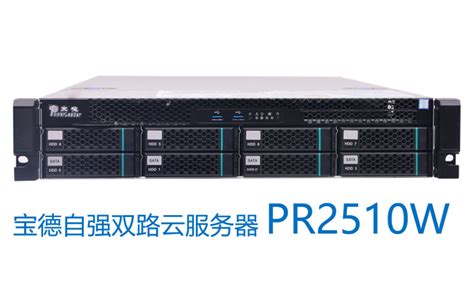 宝德PR2510W服务器（2 X Intel至强 金牌 6336Y 2.4G, 24核心/48T，256GB内存，4 X SSD/960GB ...