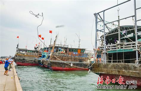 儋州白马井中心渔港为复工复产创造条件_社会热点_社会频道_云南网