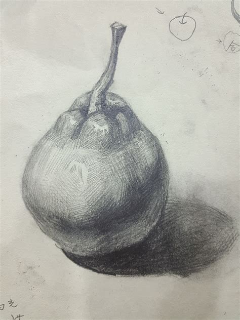 初学画画入门图片