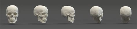 头骨雕刻渲染练习|三维|人物/生物|焦耳制造 - 原创作品 - 站酷 (ZCOOL)