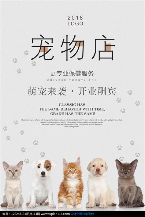 宠物店宣传海报,宠物店海报,宠物店店铺_大山谷图库