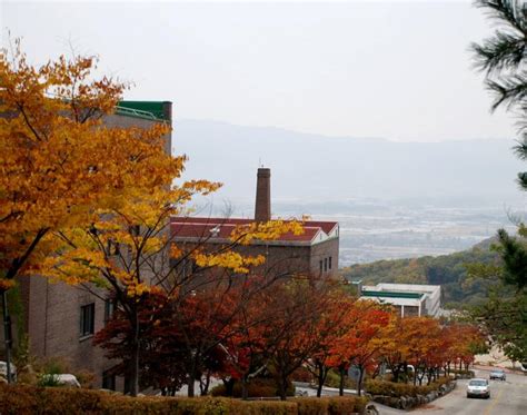 合作院校——韩国大真大学 -延安大学西安创新学院