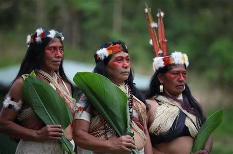 亚马逊部落_亚马逊部落图片