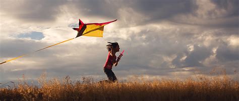 一盏充满童年回忆的灯：树上的风筝灯kite! - 普象网