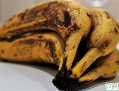 晚上吃香蕉是不是能促进睡眠 长黑点的香蕉能吃吗-趣丁网