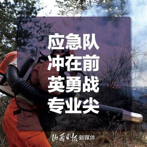海报丨森林防火，从我做起！这篇三字经请牢记-忻州在线 忻州新闻 忻州日报网 忻州新闻网
