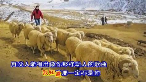 《可可托海的牧羊人》王琪原唱_腾讯视频
