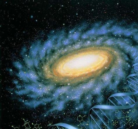 宇宙外面还有宇世界吗 ？揭秘宇宙的无限可能 | 说明书网