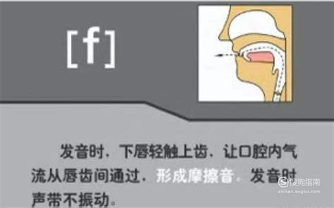 48个国际音标表+中文谐音Word模板下载_编号ljxxkdgz_熊猫办公