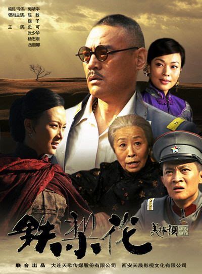 铁梨花（2010年陈数主演电视剧） - 搜狗百科