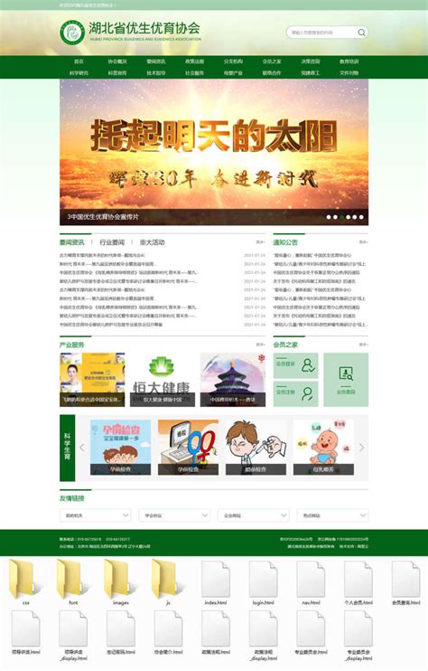 绿色大气响应式优生优育协会政府门户网站模板 - 素材火