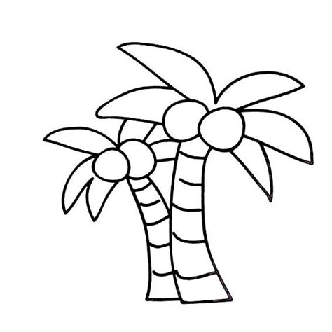 怎样画椰子树简笔画高清，怎样画椰子树画法_植物简笔画