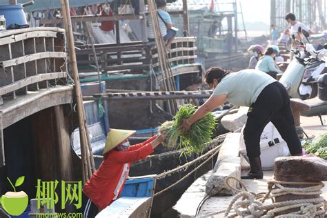 儋州今日开渔 3591艘渔船有序出海