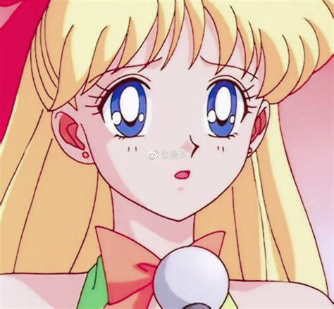美少女战士爱野美奈子(水手金星)/自图片