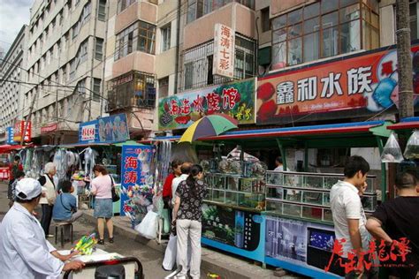 逛遍南京最大的花鸟鱼虫市场，最后我们发现……