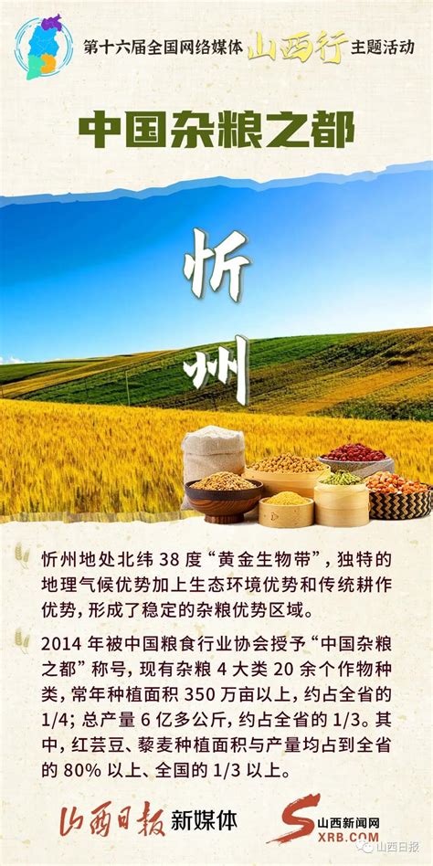 忻州小杂粮的网络营销推广方案大学毕设论文