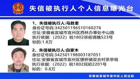 失信被执行人名单公示(第四批)_镜湖区人民法院