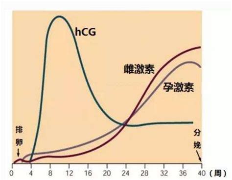 【孕期HCG曲线变化】孕期HCG值的变化如何 - 好孕无忧