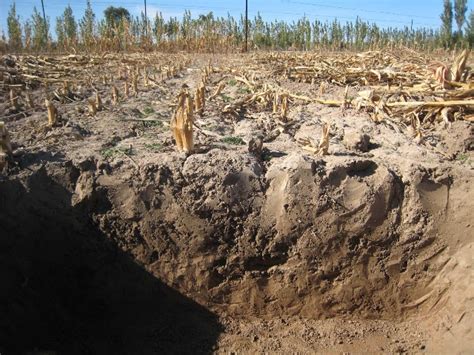 土壤分层有关知识——水土保持表土剥离学习参考 - 土木在线