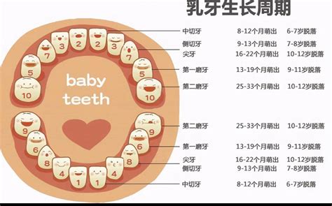 婴儿几个月长牙齿是正常的（宝宝长牙了）-幼儿百科-魔术铺