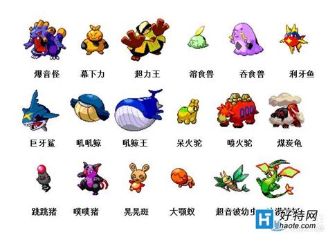 精灵宝可梦图鉴图片