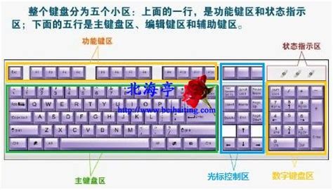 电脑键盘功能基础知识符号图解(电脑键盘符号表) - 誉云网络