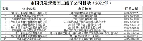 市国资运营集团二级子公司目录（2022年）_巴中市国有资产监督管理委员会
