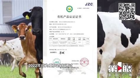 非凡•娟姗王纯牛奶上市——每100头奶牛中才有1头是娟姗牛_光大乳业——每天就喝，奶牛梦工场！