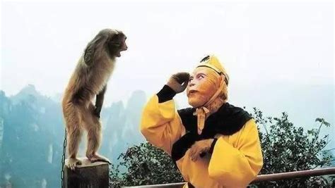 《西游记真假美猴王》-高清电影-完整版在线观看