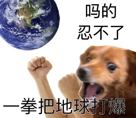 疯了表情包图片