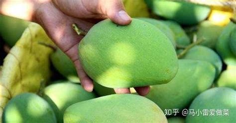 新鲜青芒果怎么吃好吃,青芒果怎么才好吃,可以直接(第7页)_大山谷图库