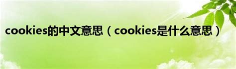 cookies的中文意思（cookies是什么意思）_新讯网