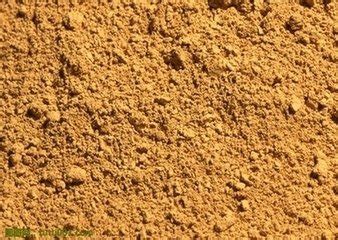 强夯在湿陷性黄土中高回填区域的应用