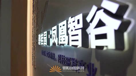 骄阳下的相聚——第二季度快乐大会-北京合康科技发展有限责任公司