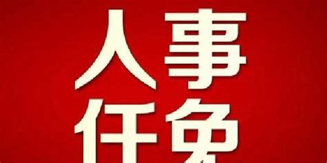 武汉市发布最新人事任免信息_手机新浪网