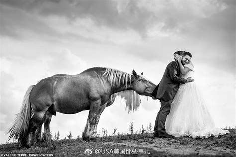 国际专业婚礼摄影师协会（ISPWP）主办的年度婚礼摄影大赛