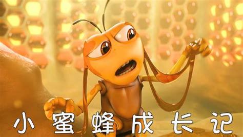 第二十五集 小蜜蜂从新手到精英的脱变之路。