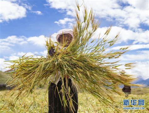 西藏：看病三不出 实现家门口就医_四川在线