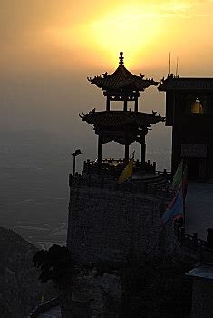 罗大图片