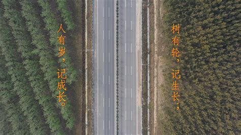 媒体报道-郑州市公路工程公司