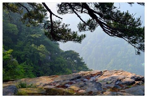 《题西林壁》 苏轼 横看成岭侧成峰，远近高低各不同。 不识庐山真面目，只缘身在此山中。